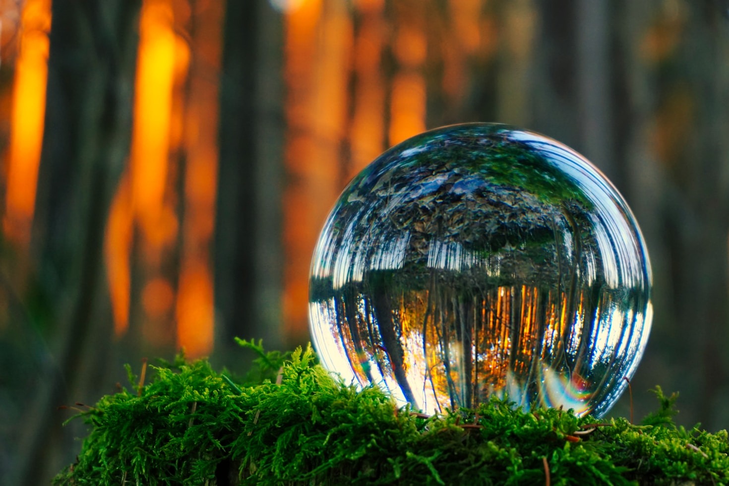 Understanding the Q’ero Tradition of Shamanism