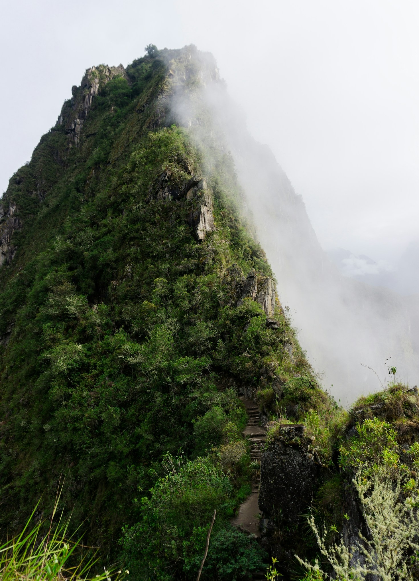 A Journey to Harmony: Practices of Q’ero Shamans