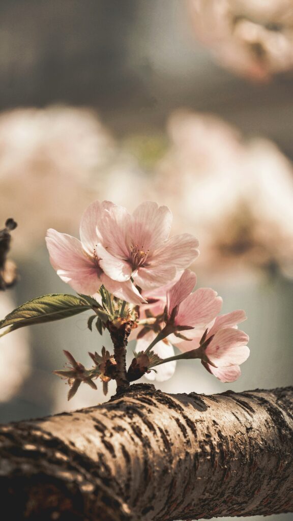 Hello World Featured Image